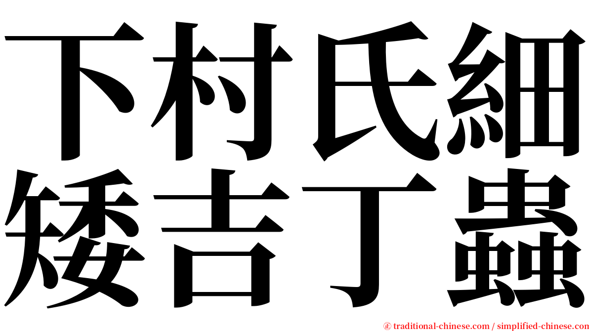 下村氏細矮吉丁蟲 serif font