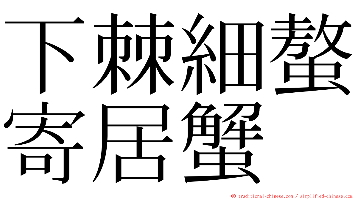 下棘細螯寄居蟹 ming font