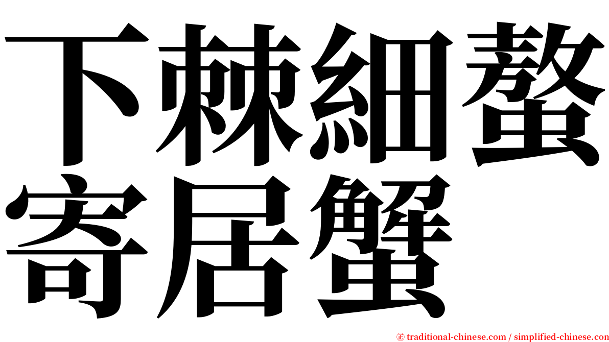 下棘細螯寄居蟹 serif font