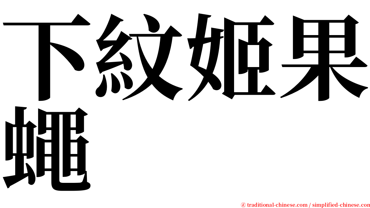 下紋姬果蠅 serif font