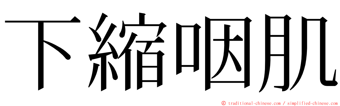 下縮咽肌 ming font