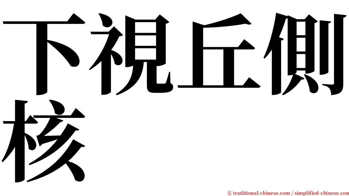 下視丘側核 serif font