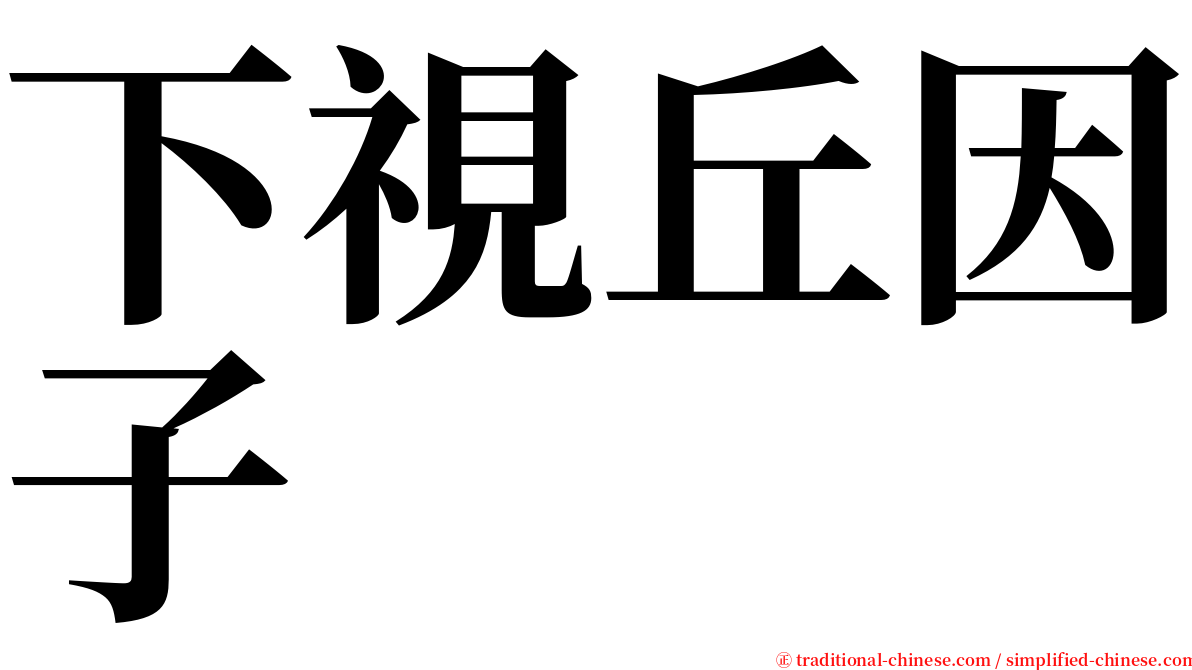 下視丘因子 serif font