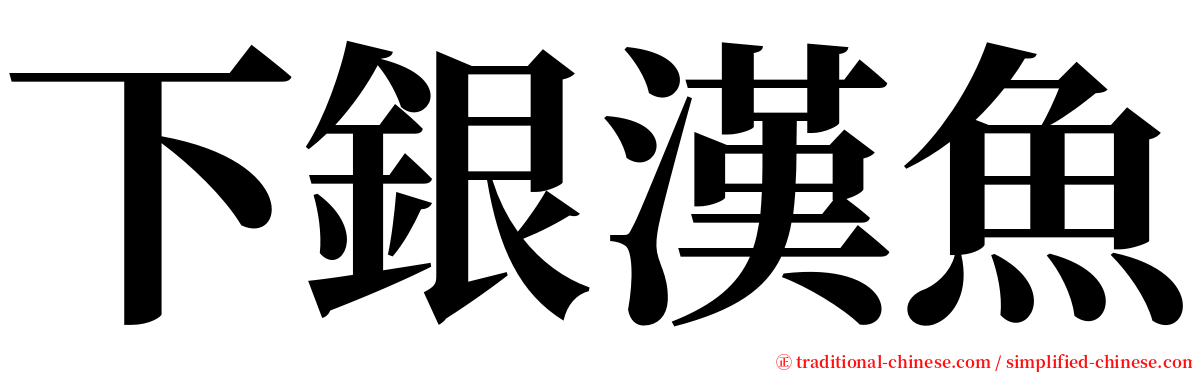 下銀漢魚 serif font
