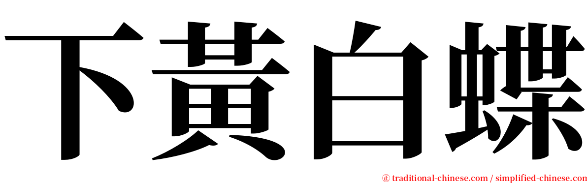 下黃白蝶 serif font