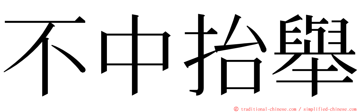 不中抬舉 ming font