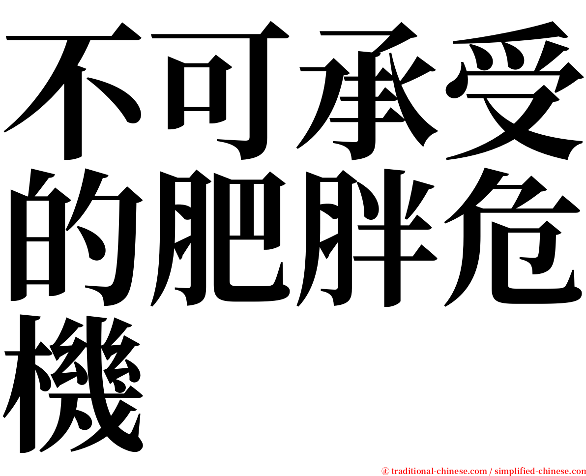 不可承受的肥胖危機 serif font