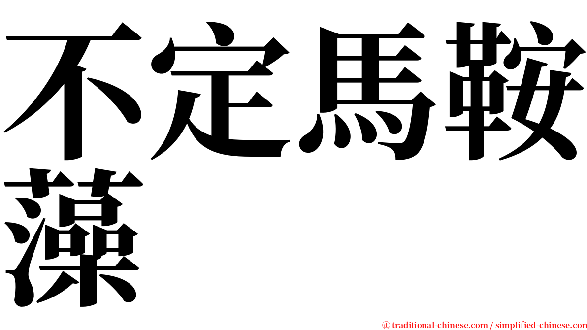 不定馬鞍藻 serif font