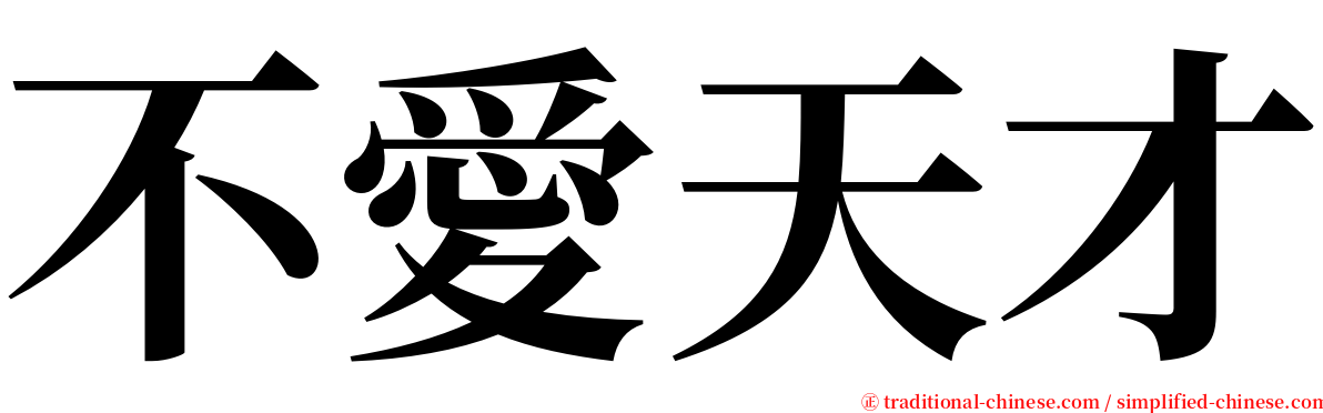 不愛天才 serif font