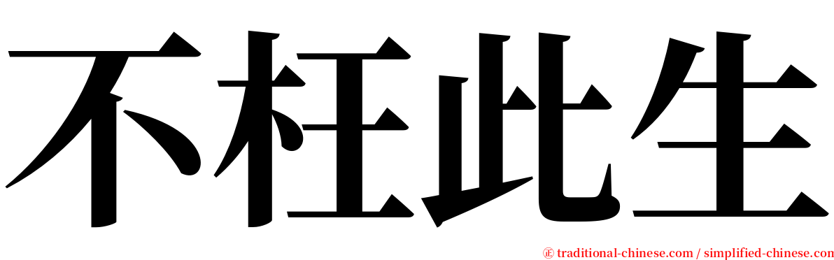 不枉此生 serif font