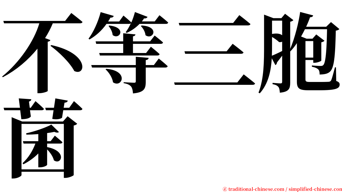 不等三胞菌 serif font