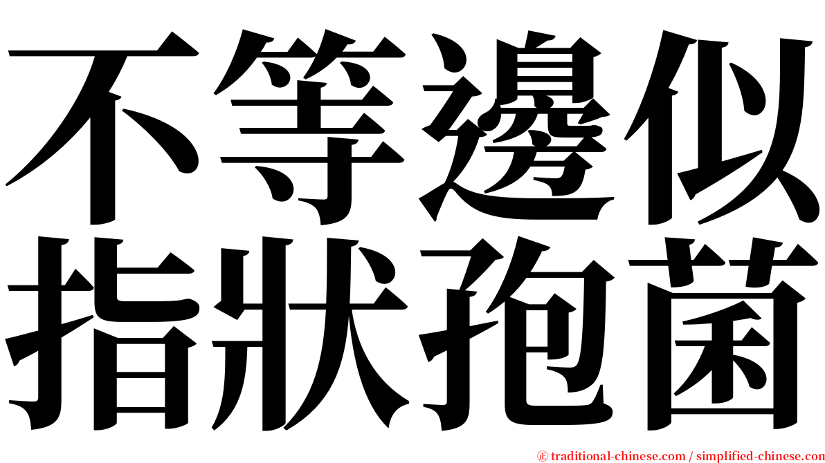 不等邊似指狀孢菌 serif font