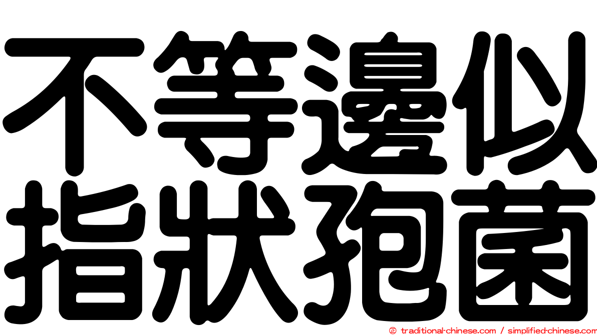 不等邊似指狀孢菌
