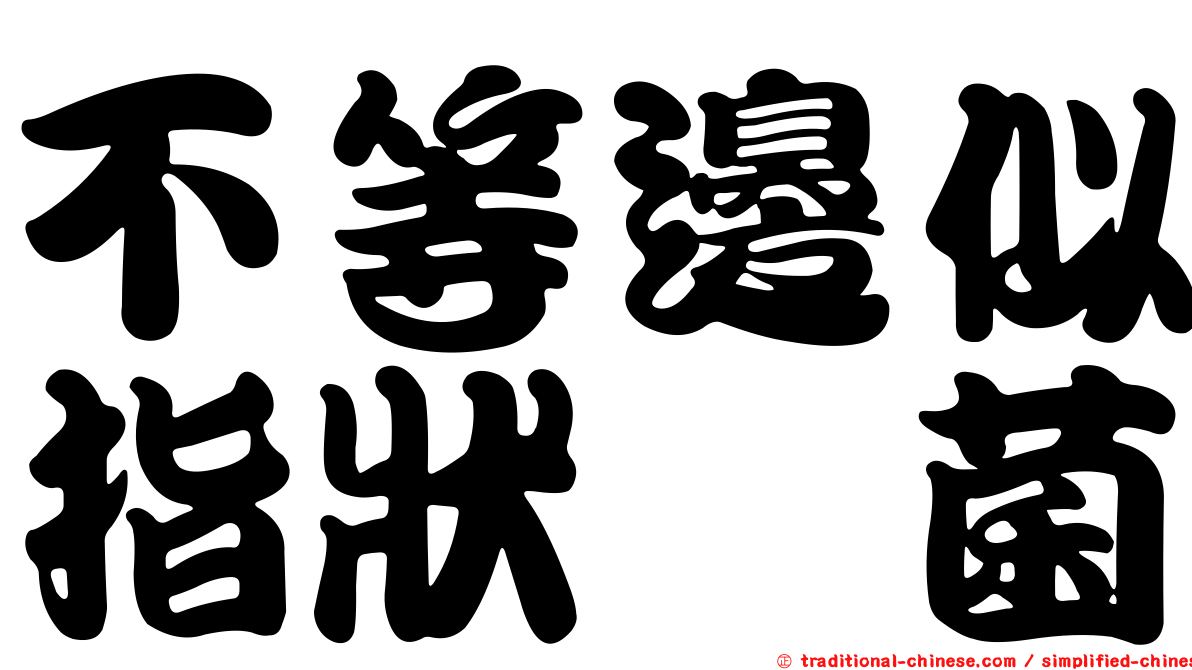 不等邊似指狀孢菌