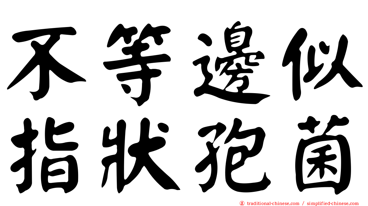 不等邊似指狀孢菌