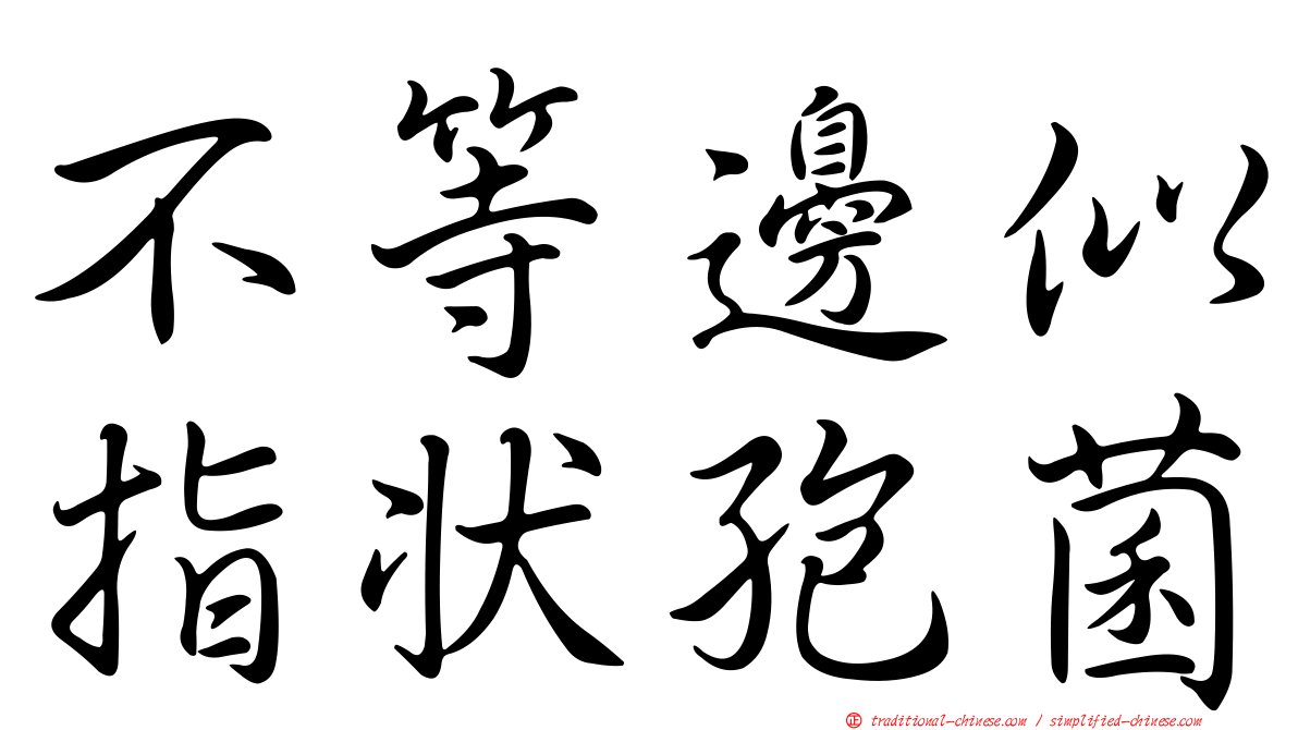 不等邊似指狀孢菌