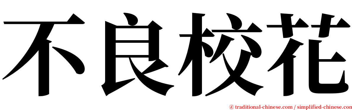 不良校花 serif font