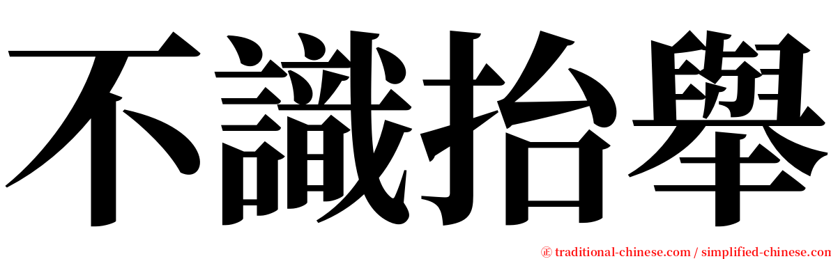 不識抬舉 serif font