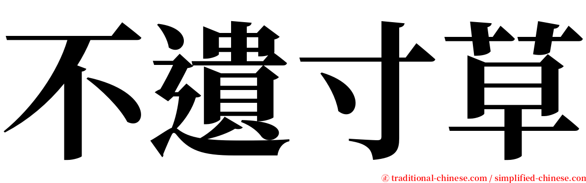 不遺寸草 serif font