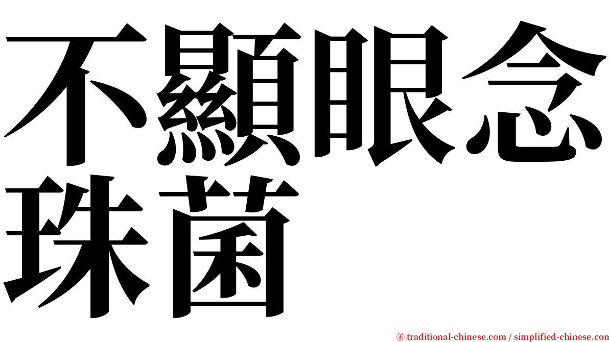 不顯眼念珠菌 serif font