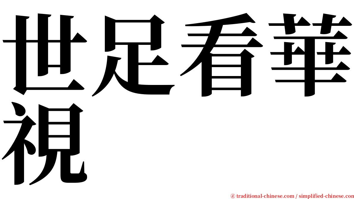 世足看華視 serif font