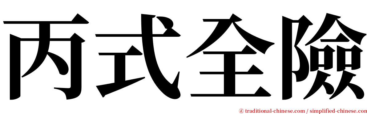 丙式全險 serif font