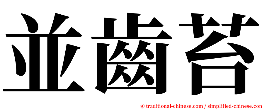 並齒苔 serif font