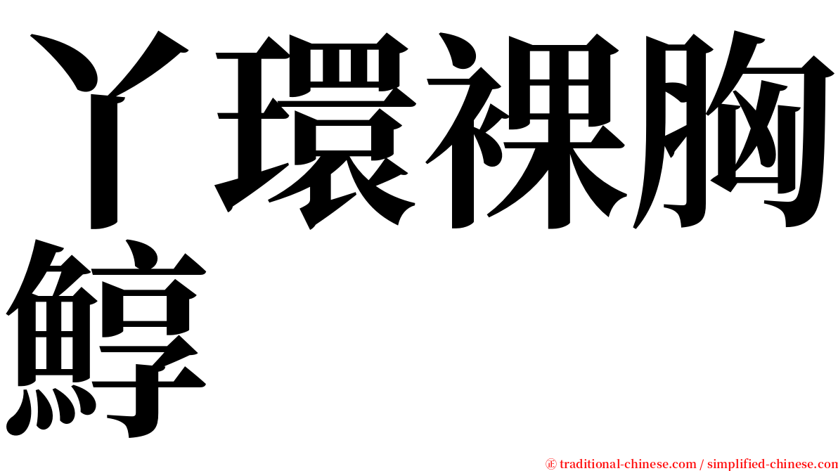 丫環裸胸鯙 serif font