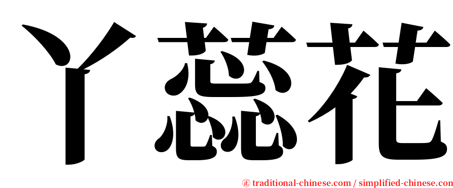 丫蕊花 serif font