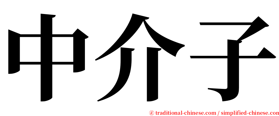 中介子 serif font