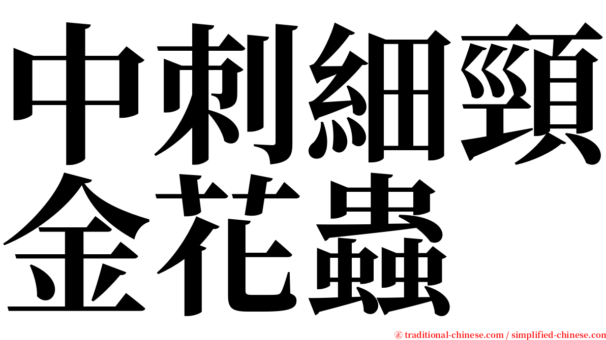 中刺細頸金花蟲 serif font