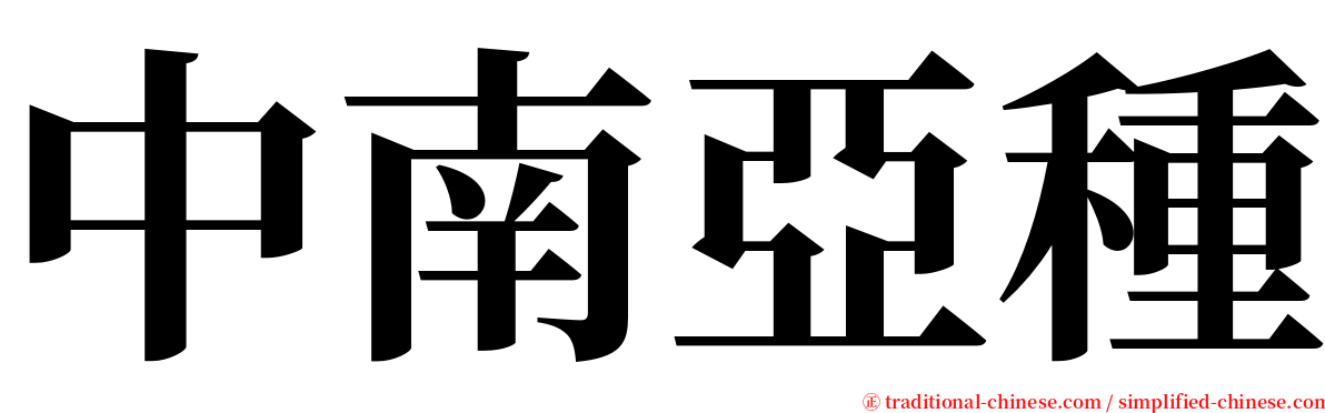 中南亞種 serif font