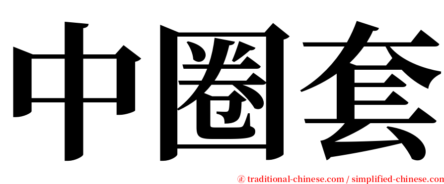 中圈套 serif font