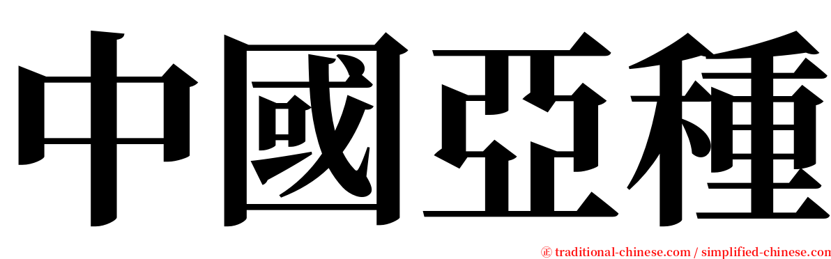 中國亞種 serif font