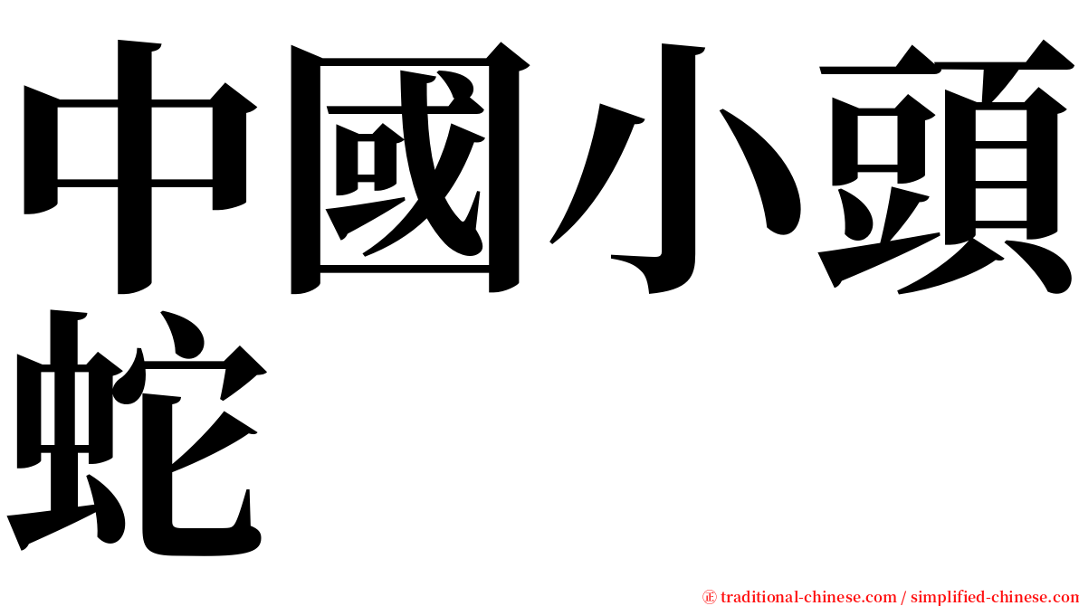 中國小頭蛇 serif font