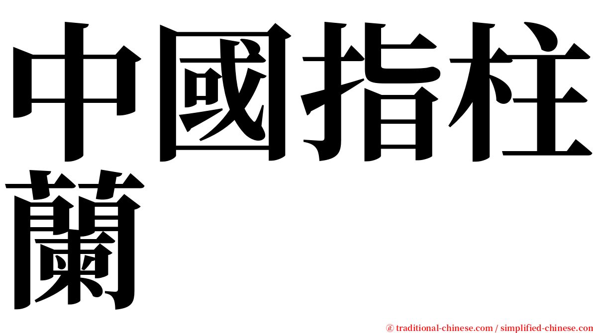 中國指柱蘭 serif font