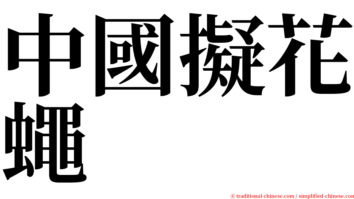 中國擬花蠅 serif font