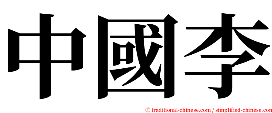 中國李 serif font