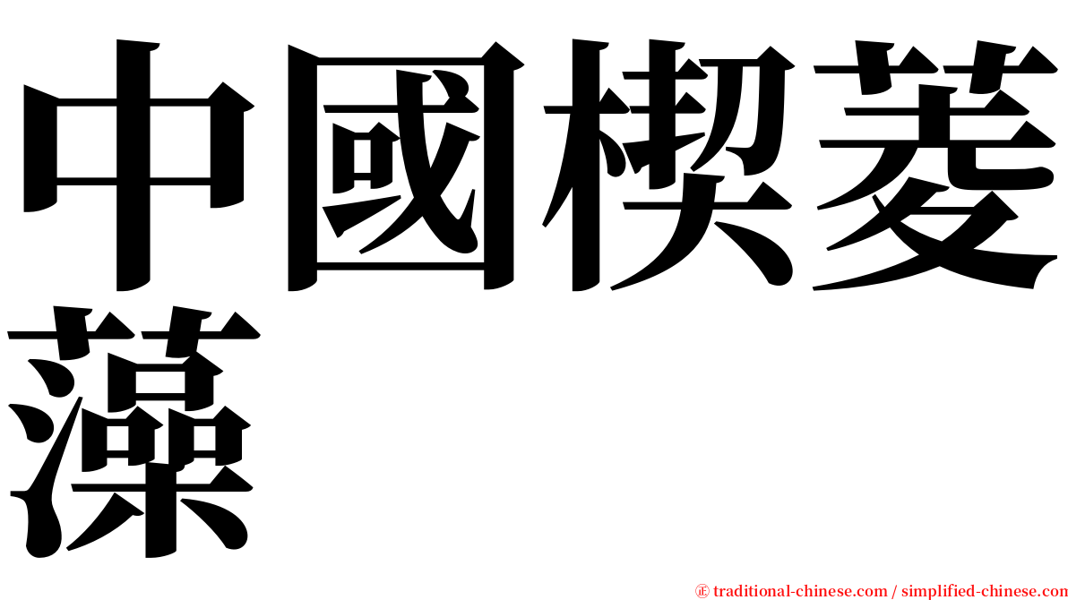 中國楔菱藻 serif font