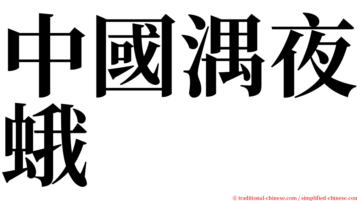 中國湡夜蛾 serif font