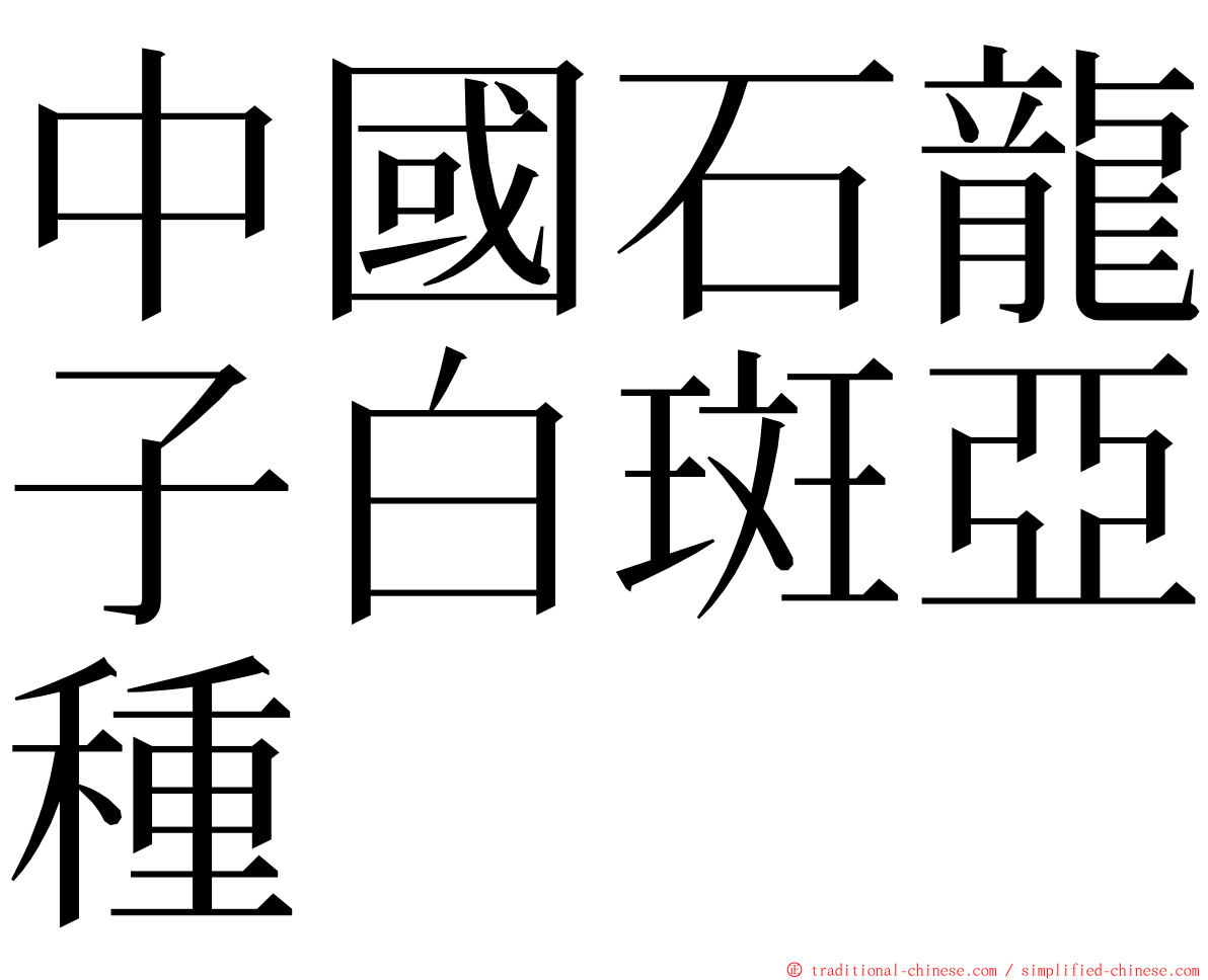 中國石龍子白斑亞種 ming font