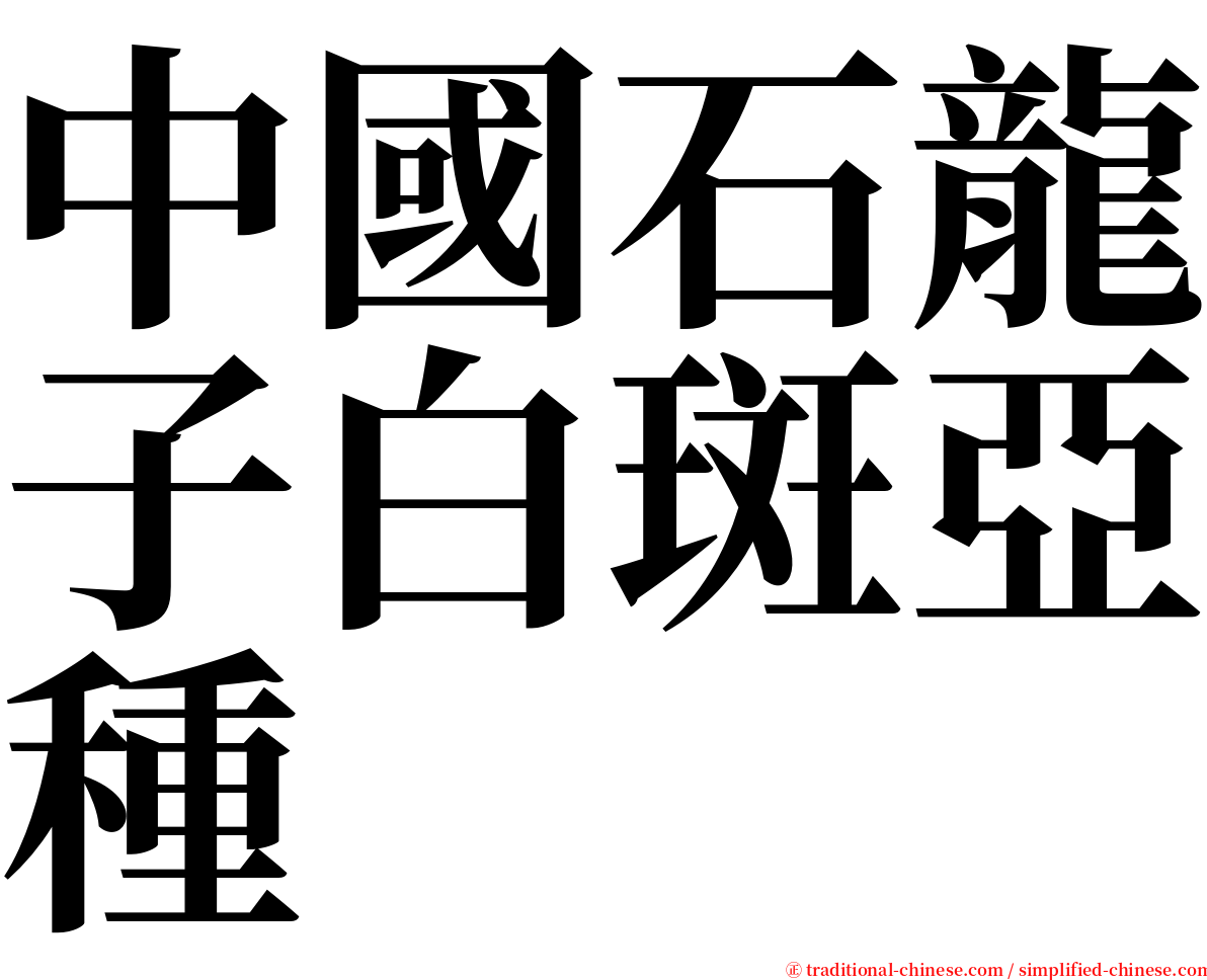 中國石龍子白斑亞種 serif font