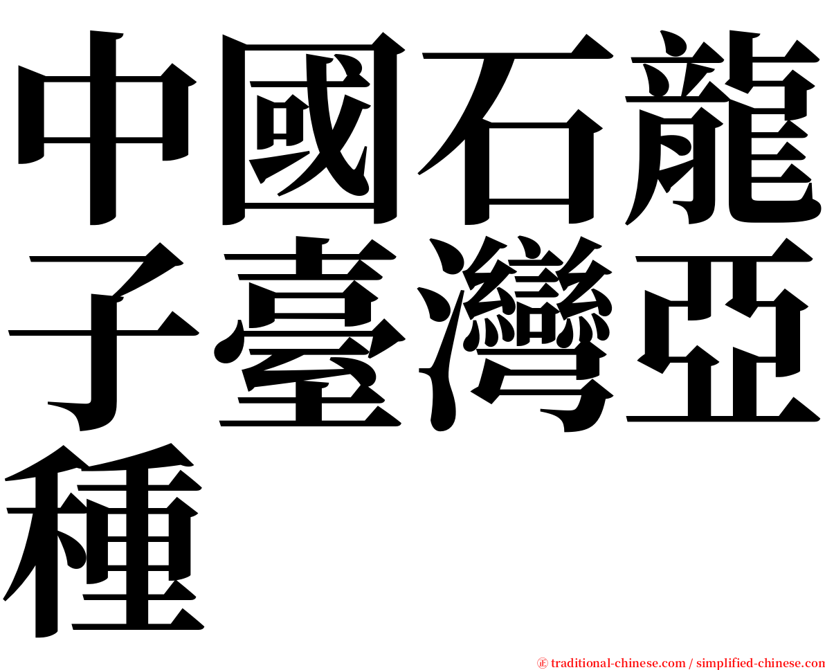 中國石龍子臺灣亞種 serif font