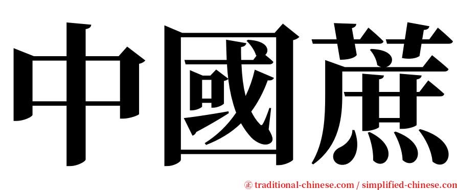 中國蔗 serif font