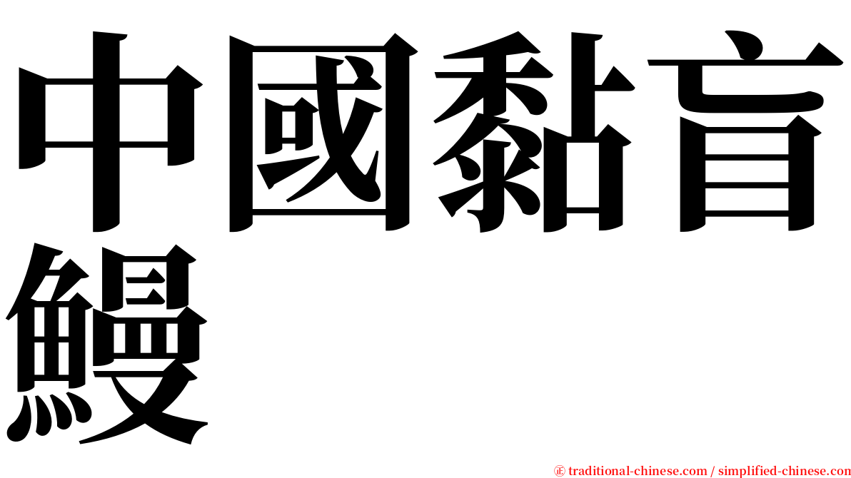 中國黏盲鰻 serif font