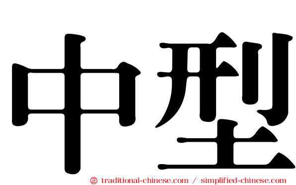 中型