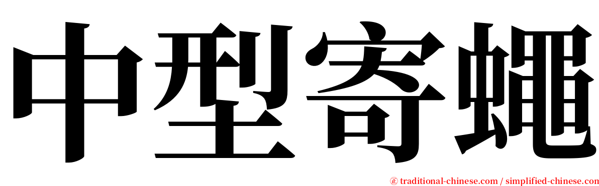 中型寄蠅 serif font