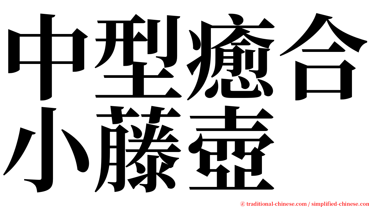 中型癒合小藤壺 serif font