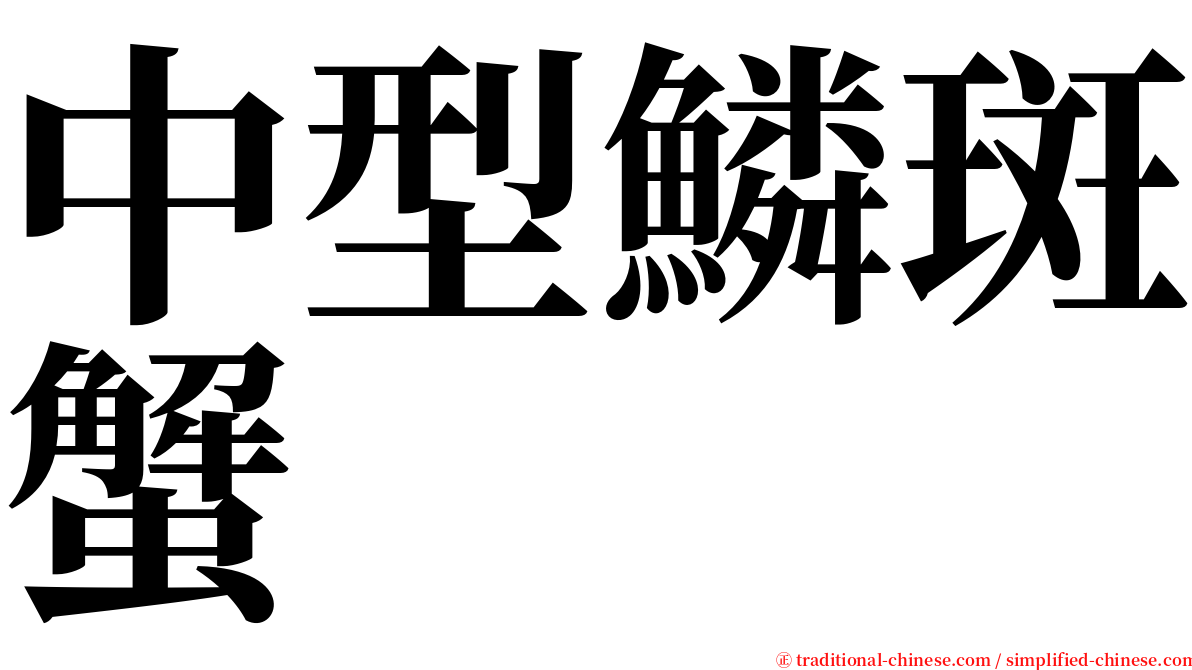 中型鱗斑蟹 serif font