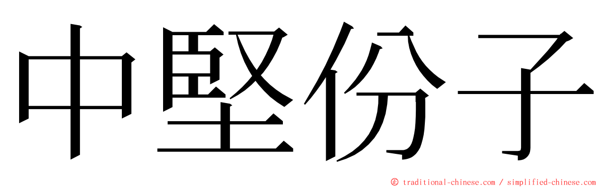 中堅份子 ming font